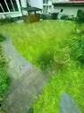 original (20).webp - 