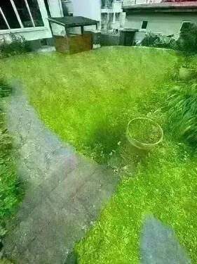 original (20).webp - 