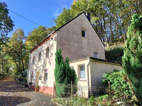 Seitenansicht - Einfamilienhaus mit 155,00 m&sup2; in Pronsfeld zum Kaufen