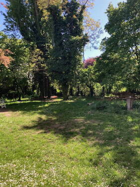 Bild 11 - 