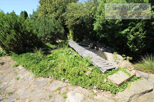 Gartenteich - 