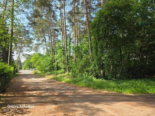 Am Grundstück (6).jpg - Ein teilbares Baugrundstück in der Waldgemeinde Borkheide