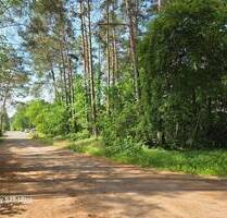 Ein teilbares Baugrundstück in der Waldgemeinde Borkheide