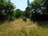 DSCN1338.JPG - 