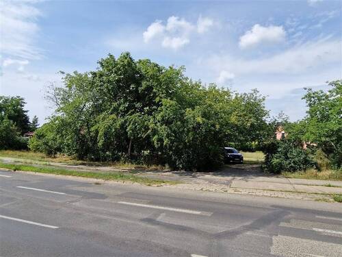 Blick zum Grundstück - Grundstück zum Kaufen in Eisenhüttenstadt