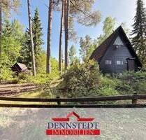 Gemütliches Nur-Dach-Haus auf 564 m² Waldgrundstück - Ferienidylle bei Hitzacker (Elbe)