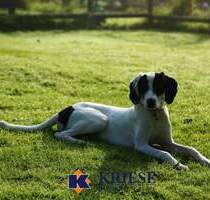 *Preisreduzierung* Großes Baugrundstück mit Altbestand im Zentrum von Germering in ruhiger Lage