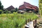 IMG_3646 - 