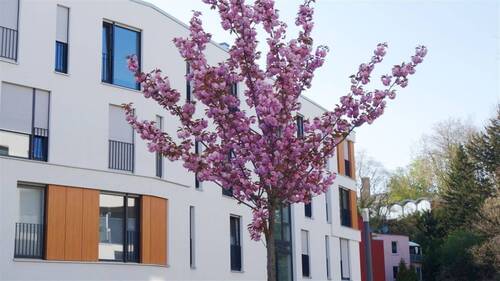 Impressionen Wohnanlage - 