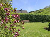 Garten Ostseite - 