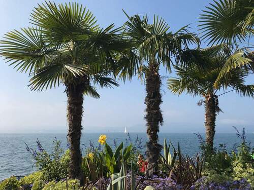 ...in wenigen Minuten können Sie... - 