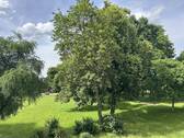 Blick aus dem Wohnzimmer - 