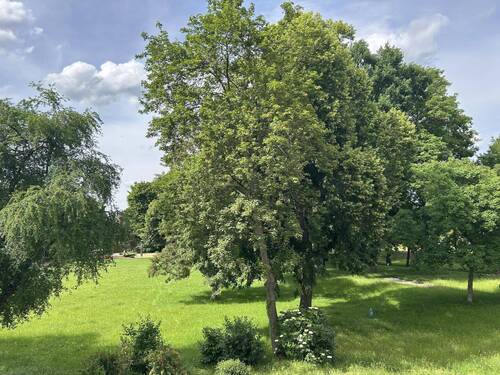 Blick aus dem Wohnzimmer - 