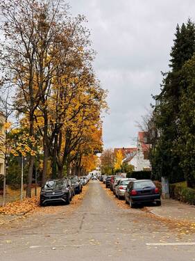 IMG_2836 bearbeitet 1 - 