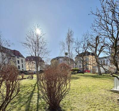 Blick zum Garten - 