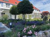 liebevoll bepflanzter Vorgarten - 2 Zimmer Etagenwohnung in Ostseebad Ahrenshoop