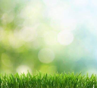 Bild 2 - Grundstück zum Kaufen in Aschersleben