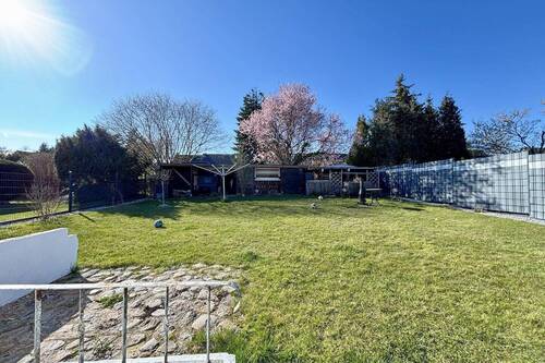 Blick in den Garten - 
