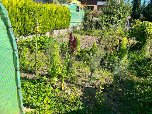 Garten - 
