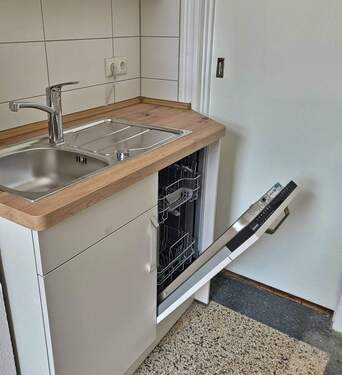 Spüle u. Geschirrspüler - 