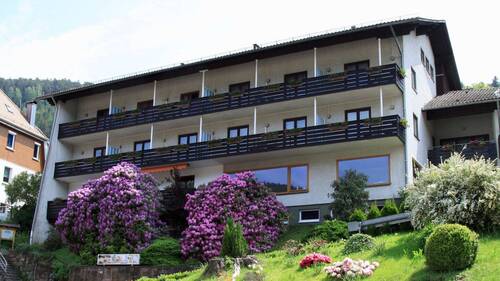 Hangansicht - Gastgeber gesucht: Modernisiertes Apartmenthaus mit 11 Einheiten