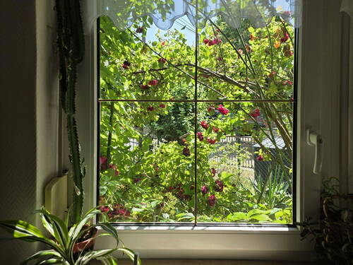 Blick durch den Erker - 