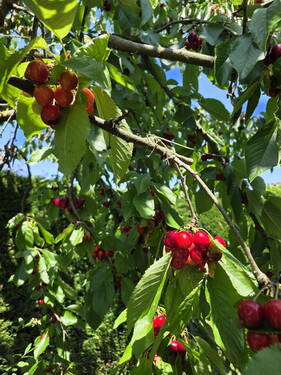 Bild 6 - 