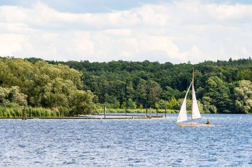 Havel - 
