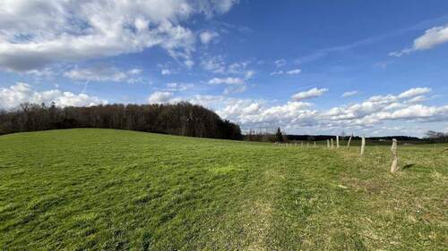 Natur vor der Tür Starnberg - 6 Zimmer Doppelhaushälfte zum Kaufen in Starnberg