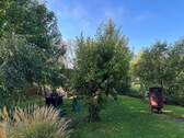 Blick in den Garten - 