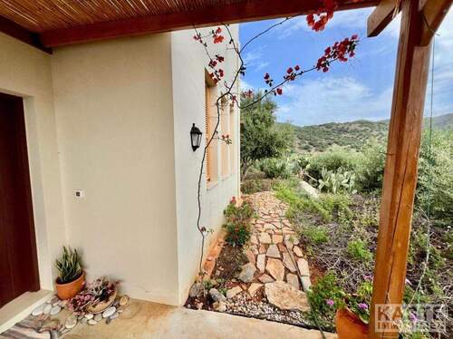 Terrasse - 2 Zimmer Mehrfamilienhaus, Wohnhaus zum Kaufen in Kounali