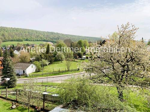 Ausblick in Garten und Umgebung - 