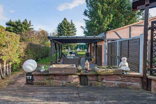 Blick in den Garten - 