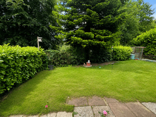 Garten (Untergeschoss) - 