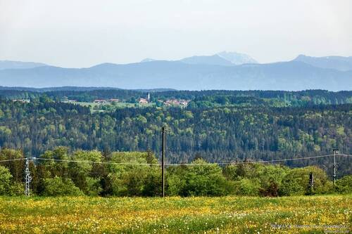 Umfeld Alpen - 