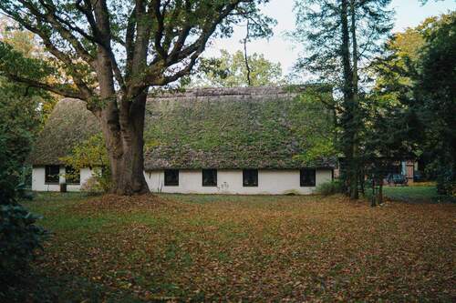 Bild 3 - 9 Zimmer Bauernhaus, Landhaus in Wingst
