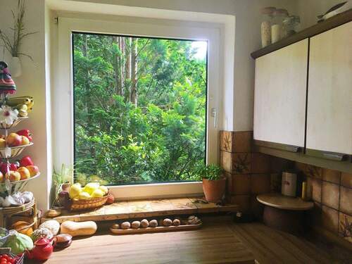 Immergrüne Blick aus dem Küchenfenster - 