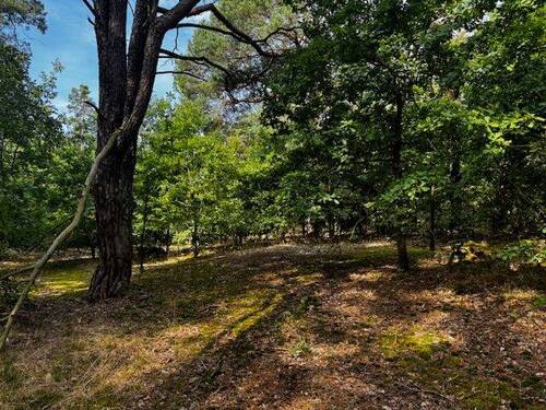 Grundstücksansicht - Grundstück in Briesen zum Kaufen