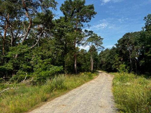 Straße Am Spitzen Berg - 