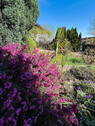 Bild 11 - 