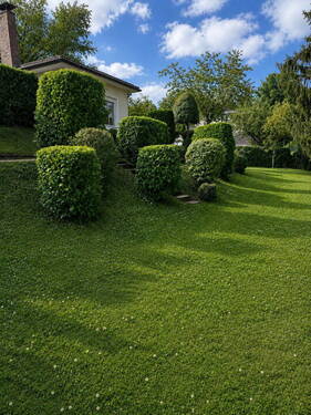 Garten - 