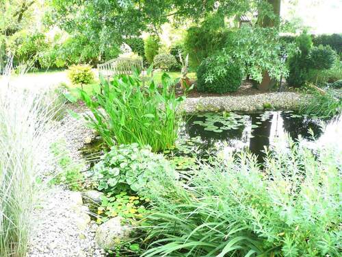 im Garten , Gartenteich - 