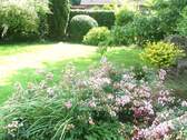 pflegeleichte Gartenanlage - 