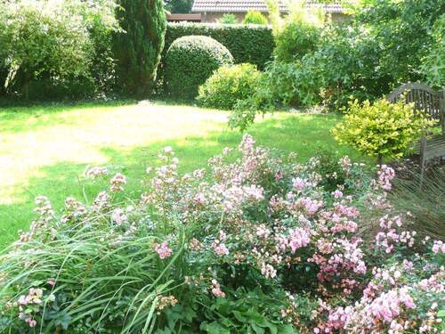 pflegeleichte Gartenanlage - 