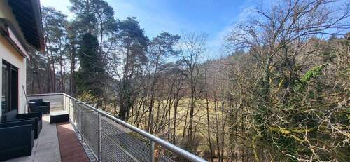 Fernblick ins Grüne - 