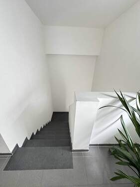 Bürotrakt Treppenhaus - Halle in Heinsberg zum Kaufen