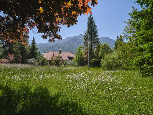 Alpen-Immo Schliersee - Grundstück zum Kaufen in Schliersee