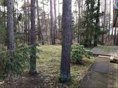 Blick von der Terrasse - 