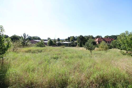 Garten in leichter Hanglage - 