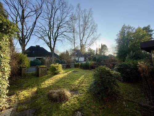 Blick in alten Baumbestand - Grundstück in Hamburg / Duvenstedt